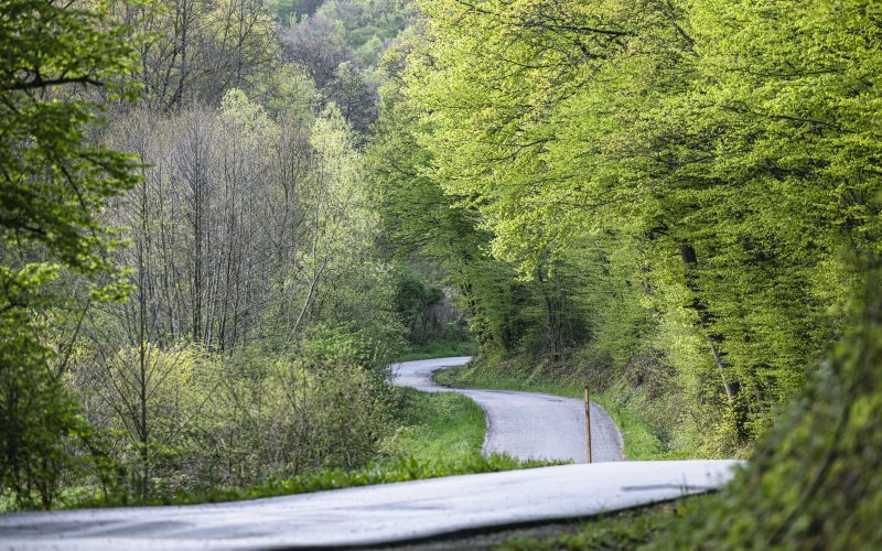 Rally Κεντρικής Ευρώπης, πρόγραμμα